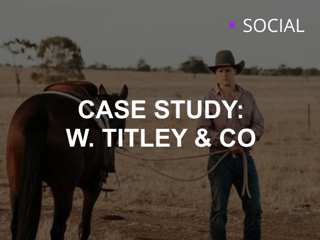 W. Titley & Co Paid Media Case Study by LION Digital